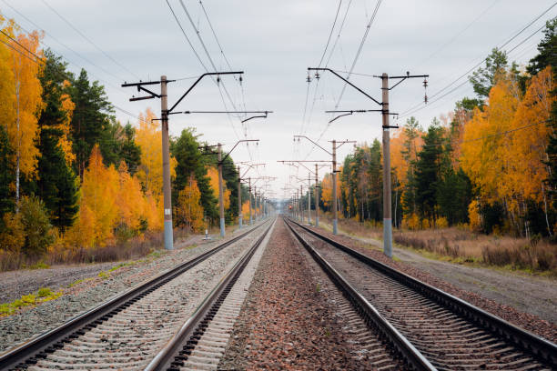 istock Railroad track curved in autumn forest 1279831621