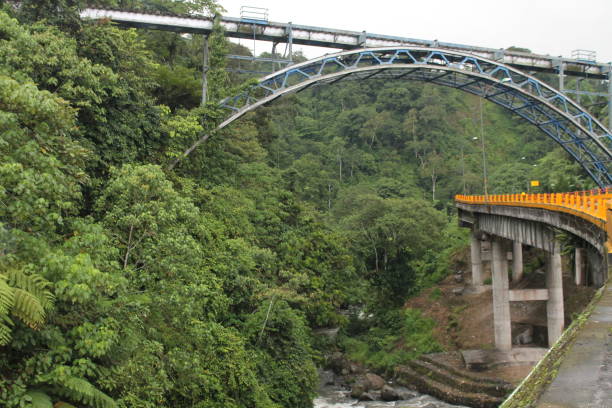 istock a bridge in the middle of a protected forest 1279832354