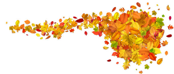 istock Colorful bright leaves isolated on white background in a frame 1279832477