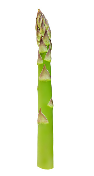 Asparagus isolated on white background. Raw asparagus.  Vegan Food concept.