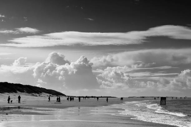 istock Beach at Renesse, Zeeland, Netherlands 1279836048