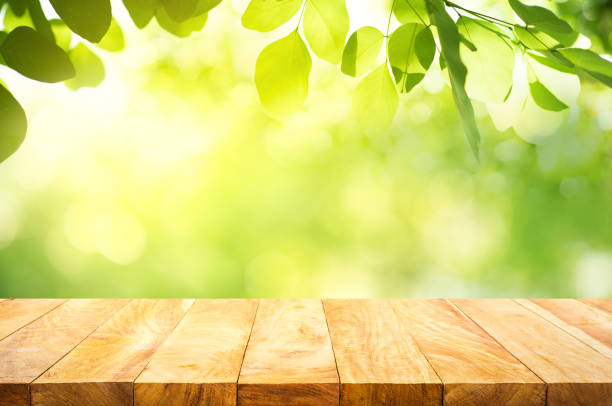 messa a fuoco selettiva del piano del tavolo in legno sul verde sfocatura dello sfondo dell'albero - beautiful surface level leaf lush foliage foto e immagini stock