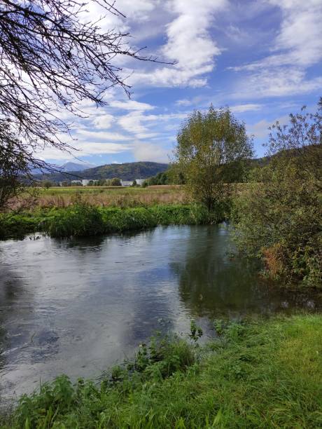 istock Flooded riverbank 1279838591
