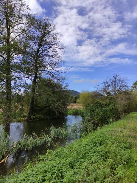 istock Flooded riverbank 1279838619
