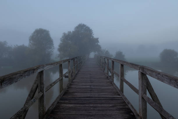 Hanzeboog train bridge over the river IJssel with during a foggy autumn morning and a train of the NS passing over the red bridge near the city of Zwolle in Overijssel, The Netherlands. Aerial drone point of view.