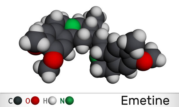 istock Emetine molecule. It is an antiprotozoal agent and emetic. Molecular model 1279840831