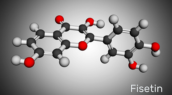 Fisetin molecule. It is plant flavonol from the flavonoid group of polyphenols. Molecular model. 3D rendering