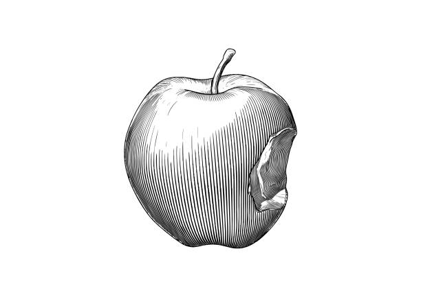 illustrations, cliparts, dessins animés et icônes de gravure de l’illustration de millésime de vecteur de pomme mordue - apple missing bite fruit red
