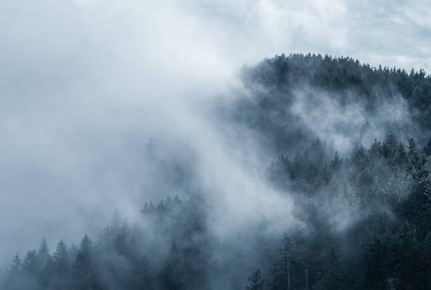 istock Vancouver Island Mountain Fog 1279843086
