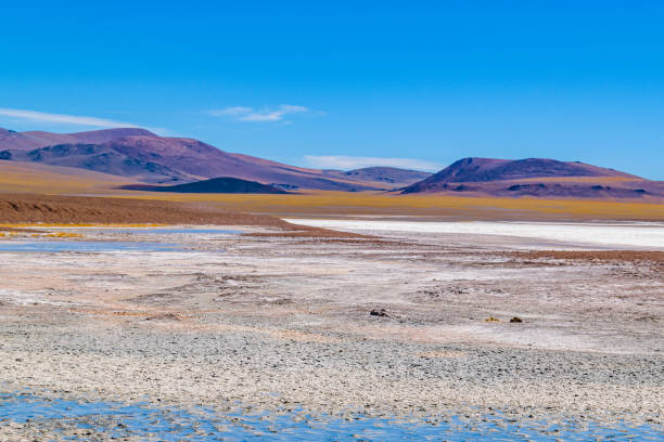 istock Brava Lagoon Reserve, La Rioja, Argentina 1279845190