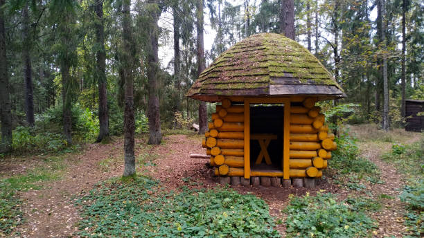 istock orange gazebo in the forest on the eco trail 1279846940