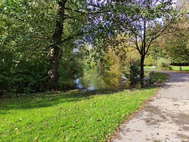 istock Flooded riverbank 1279847836