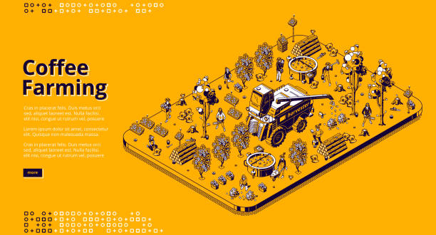 wektorowy izometryczny sztandar uprawy kawy - isometric combine harvester tractor farm stock illustrations