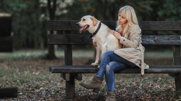 istock Her dog make her happy 1279851192