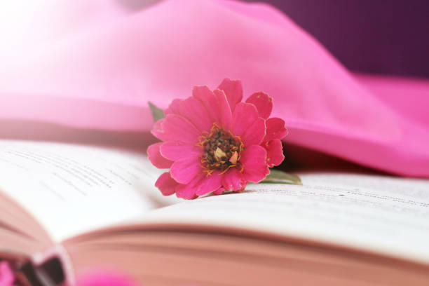 istock Old books with romantic pink flower 1279852197