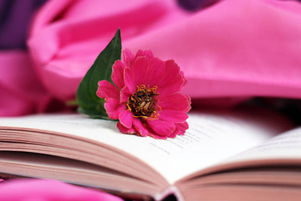 istock Old books with romantic pink flower 1279852329