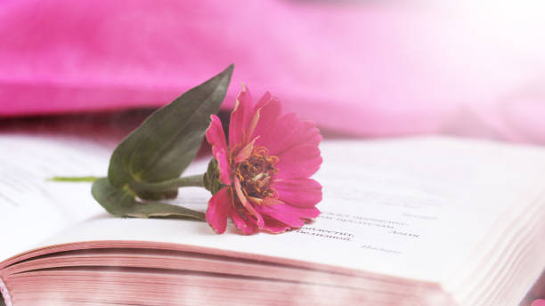 istock Old books with romantic pink flower 1279853205