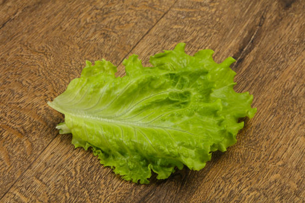 Dietary vegan cuisine Green salad leaves