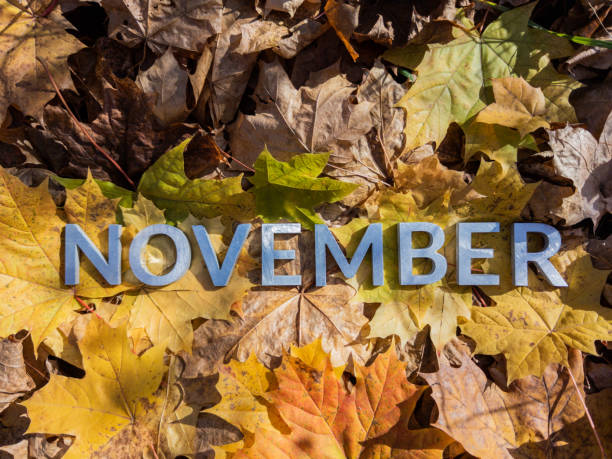 a palavra novembro colocado com letras de metal sobre folhas caídas de outono amarelo - close-up com foco seletivo - november - fotografias e filmes do acervo