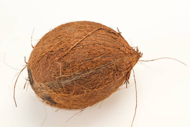 Ripe Coconut isolated on white background