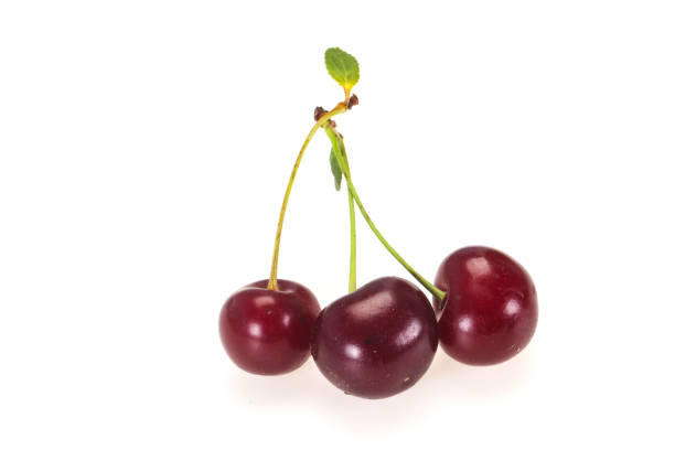 istock Sweet ripe cherry with leaves 1279857402