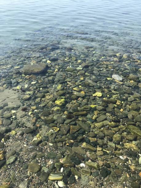 istock A clear sea and smooth stones 1279858184