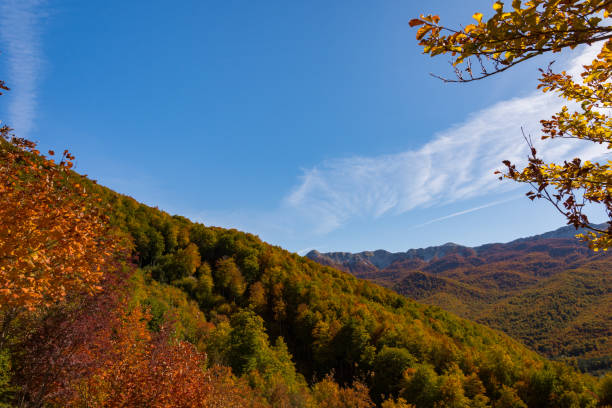 istock Abruzzo National Park Mountains, Lazio and Molise 1279858688