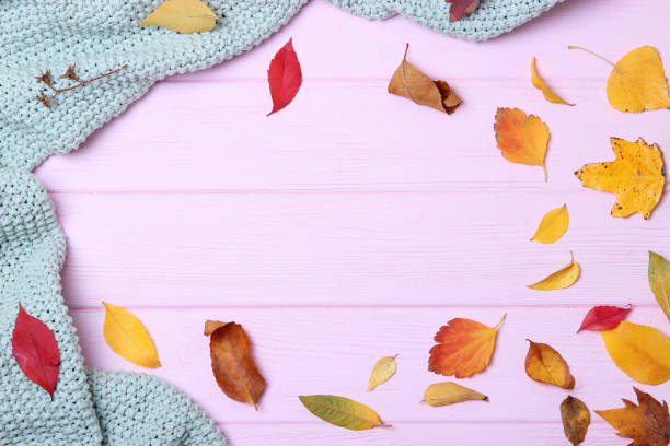 istock autumn composition and autumn leaves 1279858702