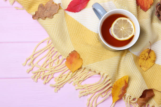 istock autumn composition and autumn leaves 1279858756