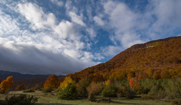 istock Abruzzo National Park Mountains, Lazio and Molise 1279858780