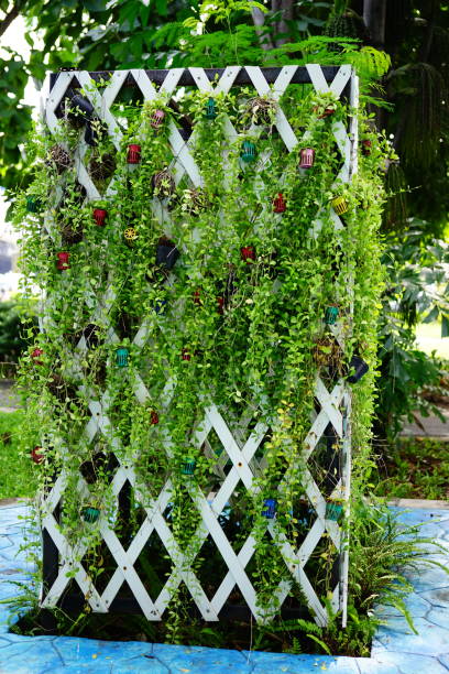 istock Vertical green plant pattern in many dave in pot at garden 1279858936