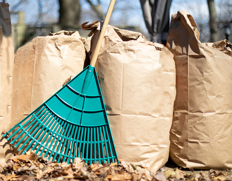 una fila de bolsas de compostaje de hojas de papel con un rastrillo de hojas apoyado en ellos photo
