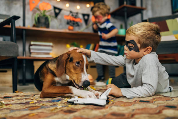 istock Little bat costume petting his cute Hound dog while he bite his toy 1279861849