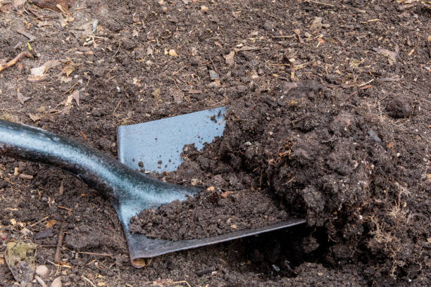 istock a black spade or shovel digging a hole full of earth 1279862611