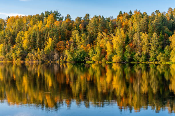 istock Autumn colored trees along a river glowing in sunlight 1279862886