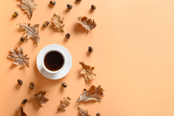 istock Acorn coffee with oak leaves on beige. View from above. 1279863036