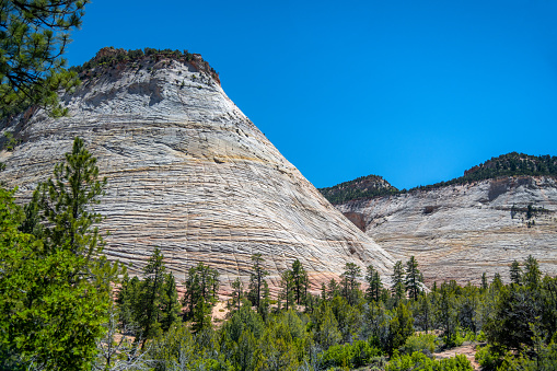 Checkerboard Mesa, famous mountain in Zion National Park, USA.
