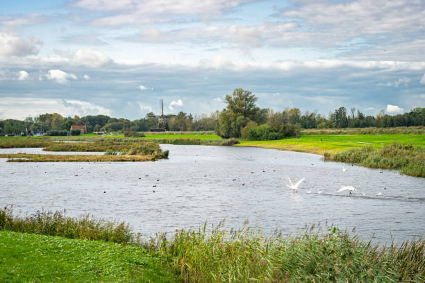 네덜란드 서부의 클래식 네덜란드 폴더 풍경 - tranquil scene windmill netherlands dutch culture 뉴스 사진 이미지