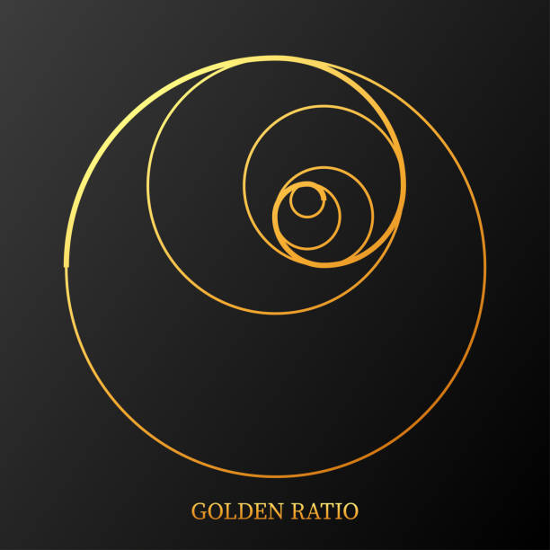 Abstract illustration with golden ratio on black background. Art&gold. Spiral pattern. Line drawing. Vector illustration. Abstract illustration with golden ratio on black background. Art&gold. Spiral pattern. Line drawing. Vector illustration bottomless models stock illustrations