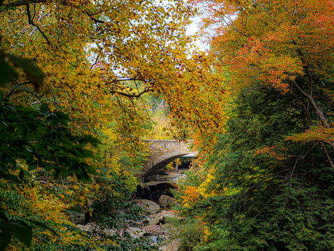 Bridge spanning Chippewa Creek in Brecksville, Ohio.  Autumn colors in Cleveland Metroparks.