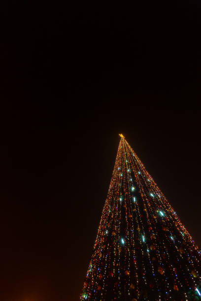 istock beautiful night tree in the city 1279869047