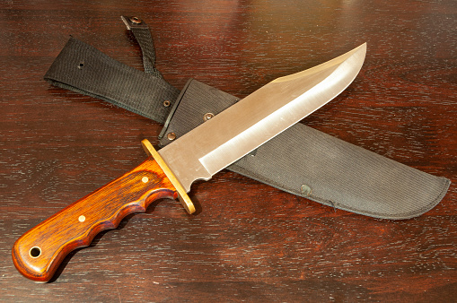 Hunting Bowie knife
