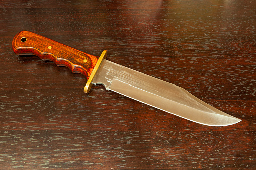 Hunting Bowie knife