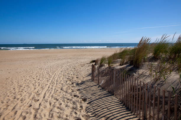 istock Beach at Sandbridge, Virginia 1279869532