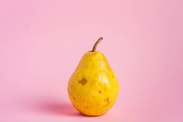 istock Fresh yellow ripe pear on pink background with abstract copy space 1279870329