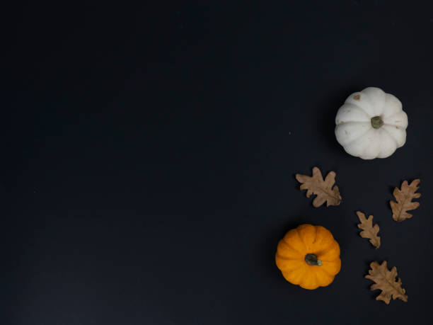 istock decorative pumpkins surrounded by oak leaves on black background, flat lay, copy space, halloween concept 1279872528