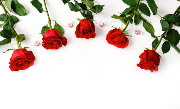 istock red roses on a white background, beautiful background, 1279877242