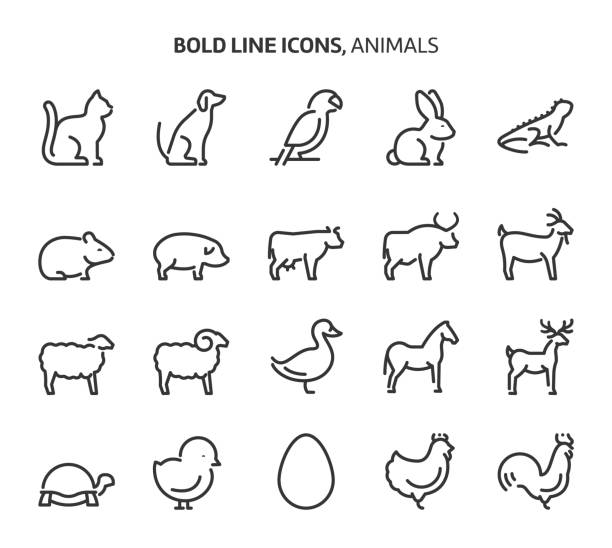 ilustraciones, imágenes clip art, dibujos animados e iconos de stock de animales, iconos de líneas audaces - cockerel chicken farm bird