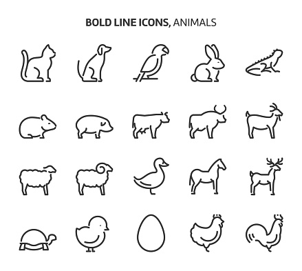 Animals Bold Line Icons Stock Illustration - Download Image Now - Icon,  Animal, Horse - iStock