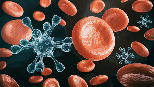 istock Red blood cells and viruses on a black background 1279879005